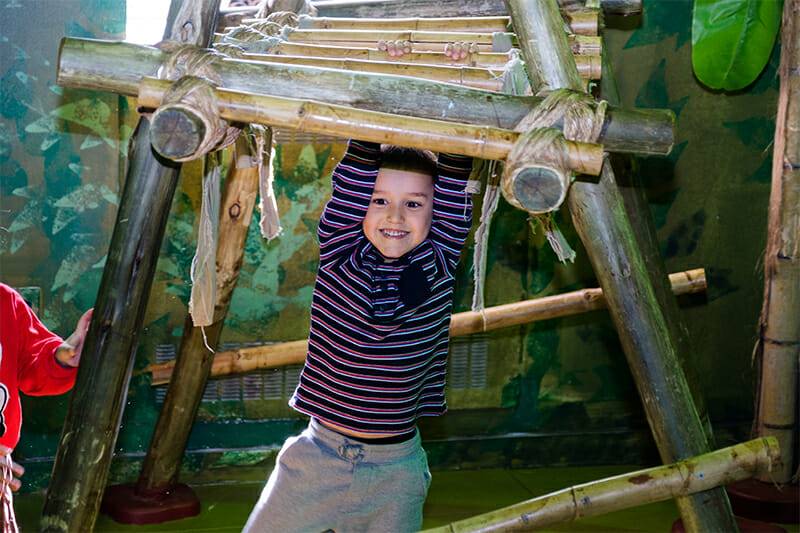 Child hanging from bamboo bars within Great Explorations exhibit.