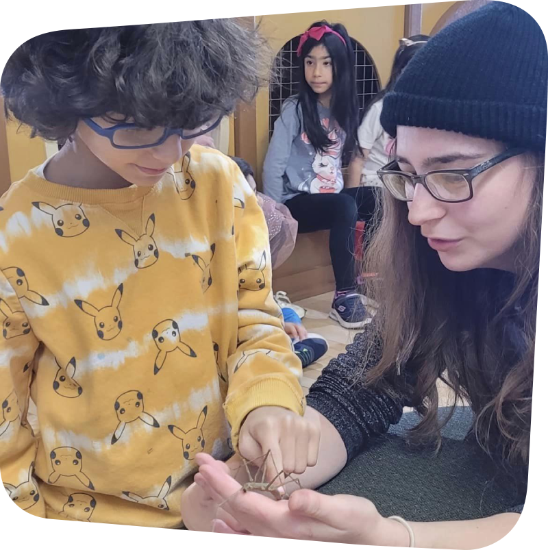 camper gently touching stick bug held by camp counselor