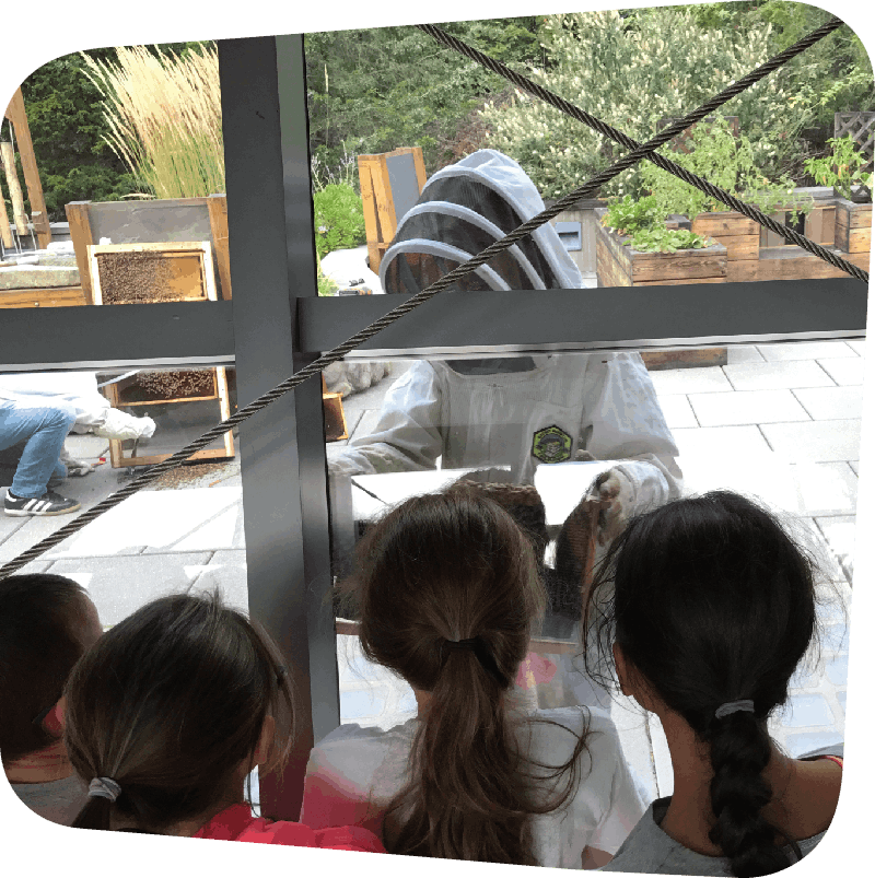 Bee Hive Opening Day
