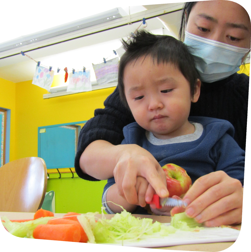 kidz cook bento box