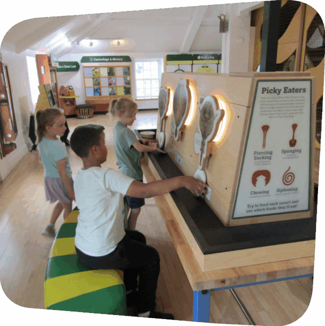 picky eaters Picky Eaters