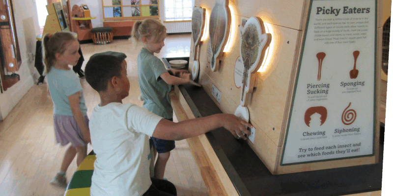 picky eaters Picky Eaters