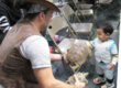 little boy petting a turtle at binx show