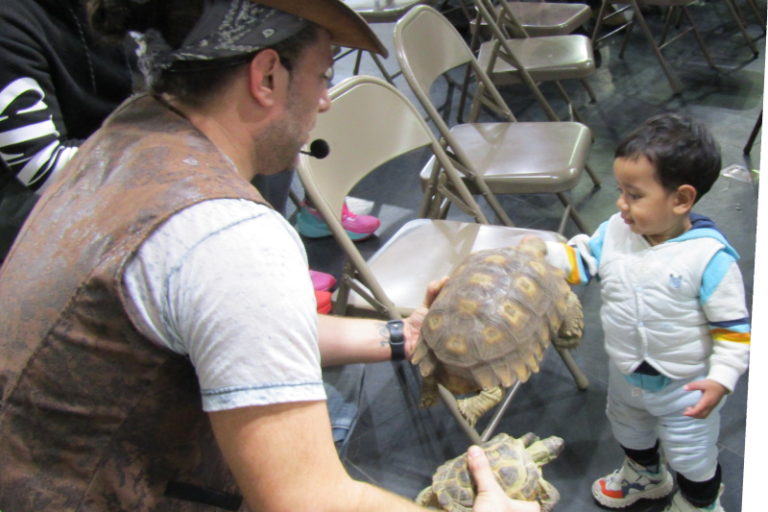 little boy petting a turtle at binx show