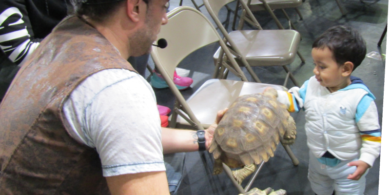 binx PR rhombus little boy petting a turtle at binx show