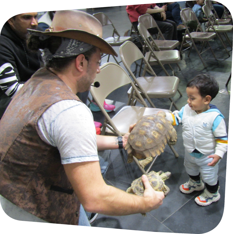 little boy petting a turtle at binx show